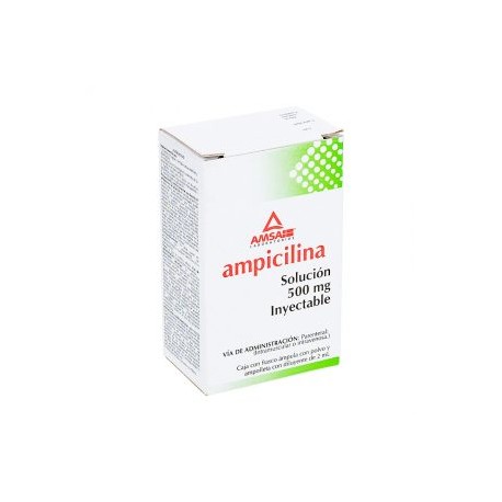 AMPICILINA INY 1 AMP 500mg